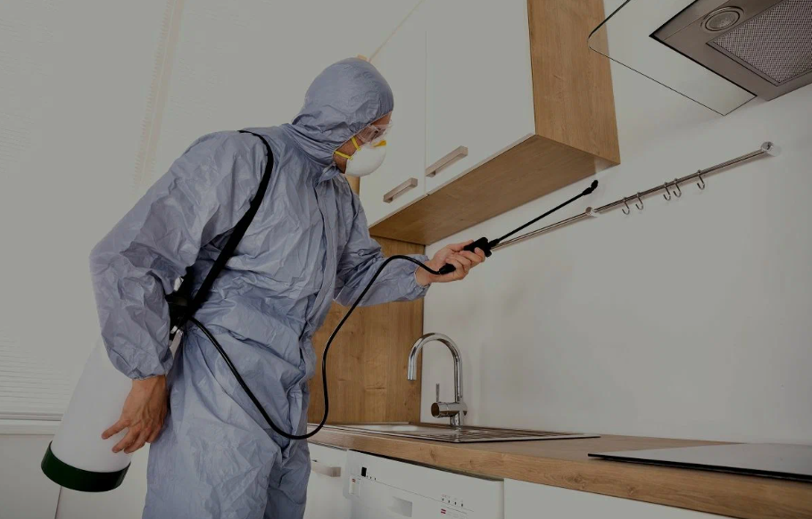 Haltom pest managment